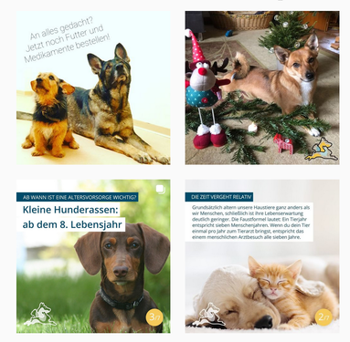 Tierärztliches Kleintierzentrum Hanauerland bei Instagram