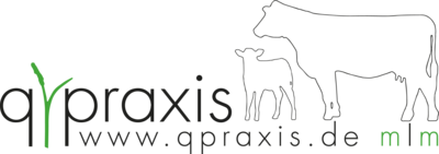 qpraxis - Logo