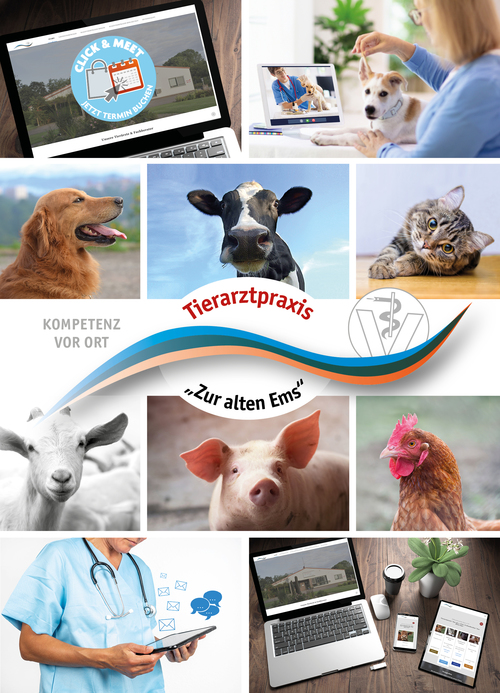 Tierarztpraxis Zur alten Ems - unsere Vision