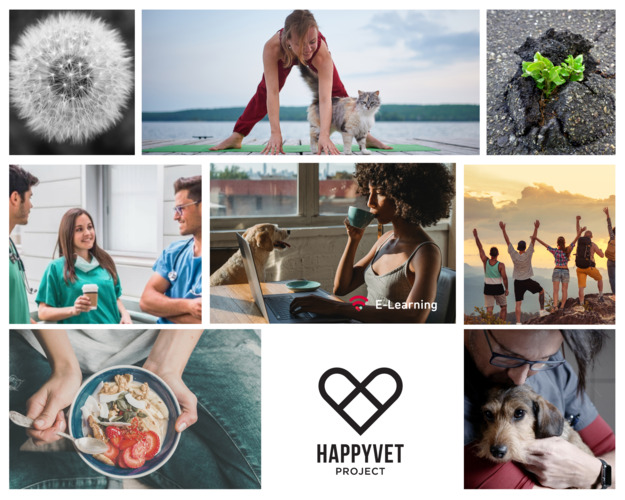 Happy Vet Project - unsere Vision