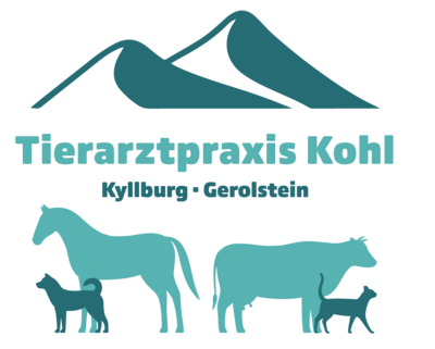 Tierarztpraxis Kohl Kyllburg-Gerolstein