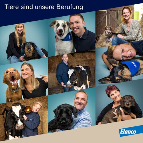 Elanco Deutschland GmbH - unsere Vision