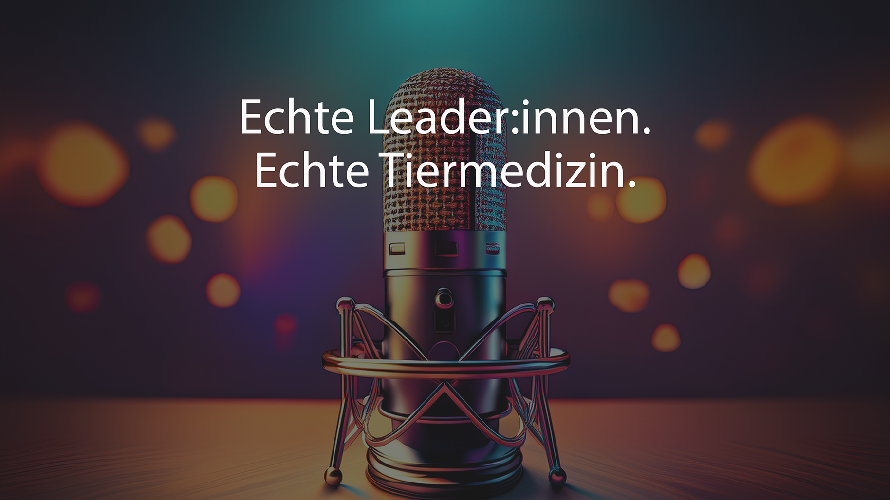 Teaserbild Vet Leaders