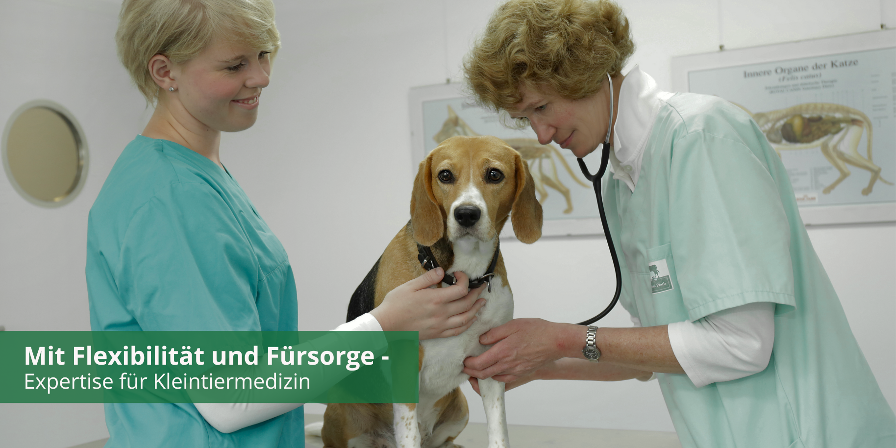 Teaserbild Tierärztliche Praxis Plath & Mohr