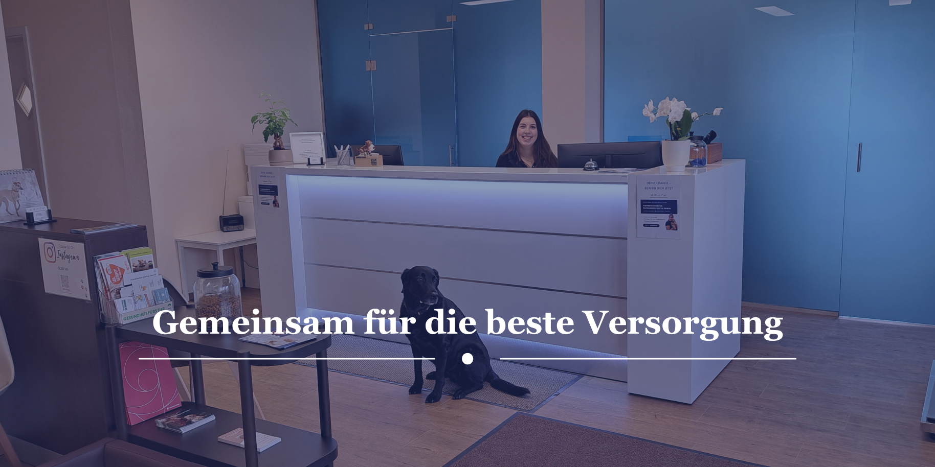 Teaserbild Tiergesundheitszentrum Meitingen