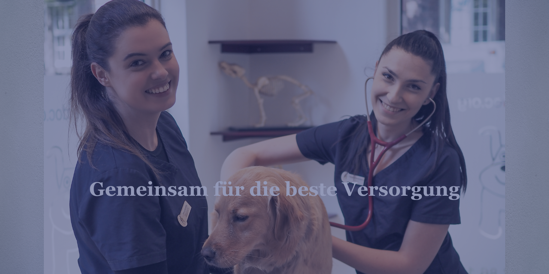 Teaserbild Tierarztpraxis Ferdinand Nießen