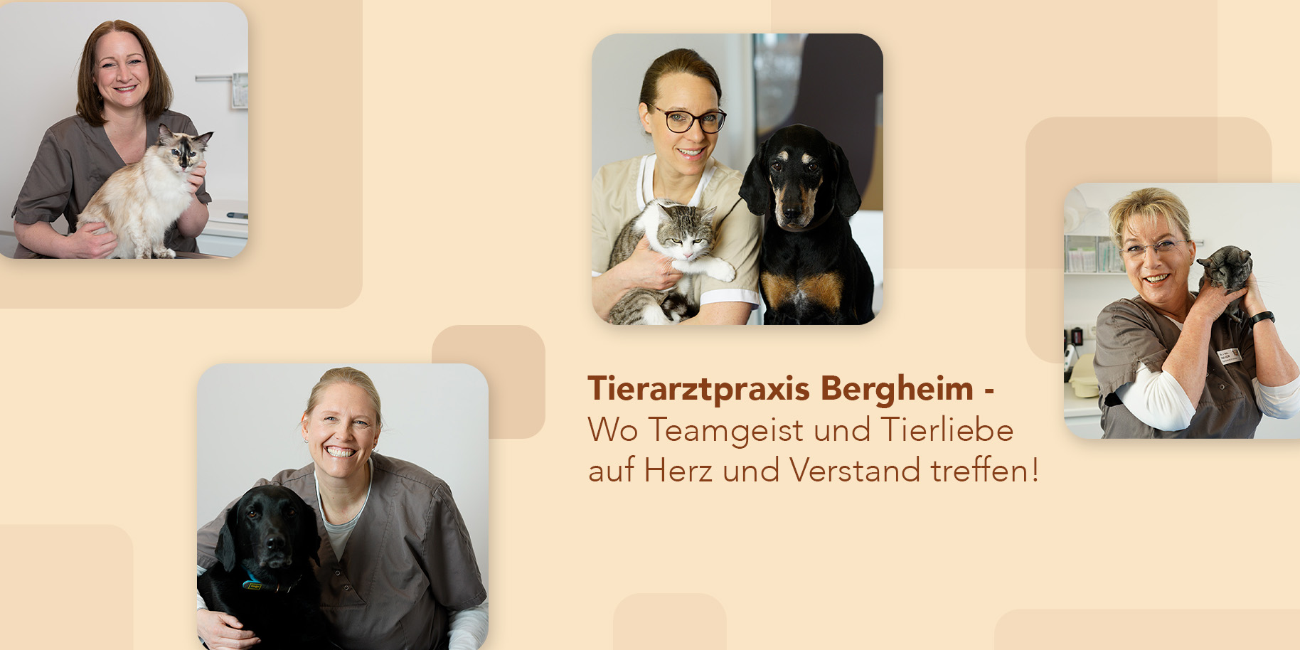 Teaserbild Tierarztpraxis Bergheim