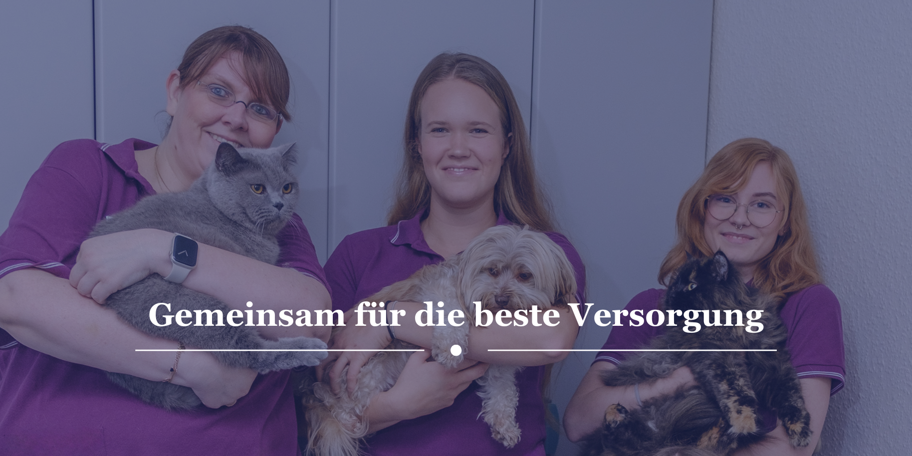 Teaserbild Kleintierpraxis in Arsten