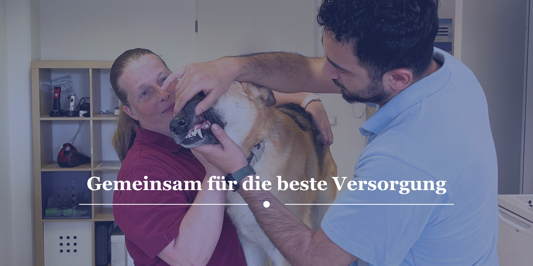 Teaserbild Tierarztpraxis am Eichtalpark