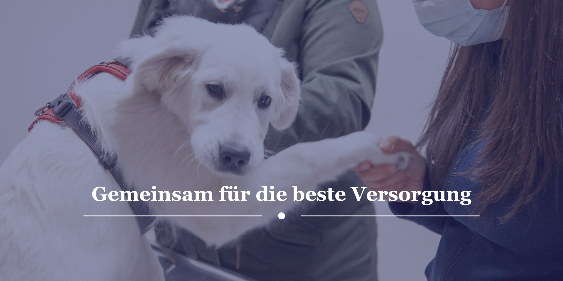 Teaserbild Tiergesundheitszentrum Stadtbergen