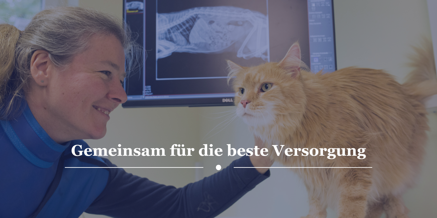 Teaserbild Tierarztpraxis Rettmer
