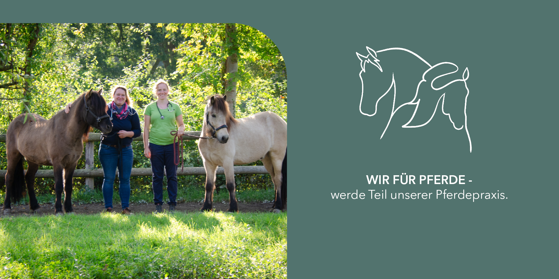 Teaserbild Pferdepraxis Klaassen und Wiegand GbR