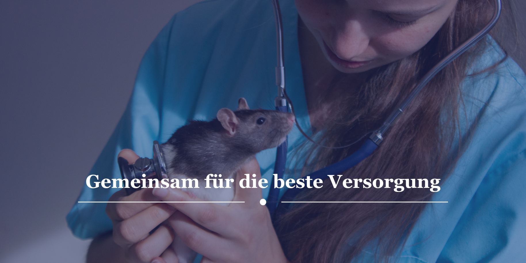 Teaserbild Tiergesundheitszentrum Regensburg