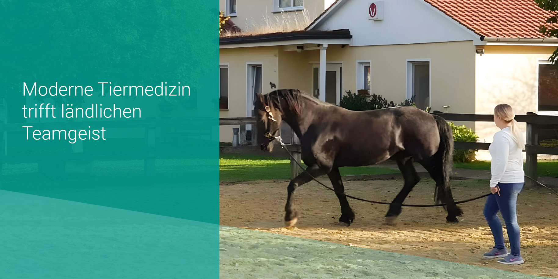 Teaserbild Tierärztliches Gesundheitszentrum Peckelsheim