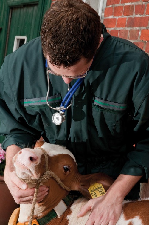Tierärztliche Gemeinschaftspraxis iQVET - unsere Vision