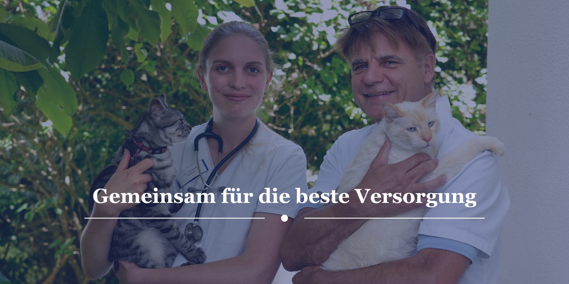 Teaserbild Tierarztpraxis Dr. Markus Kollofrath