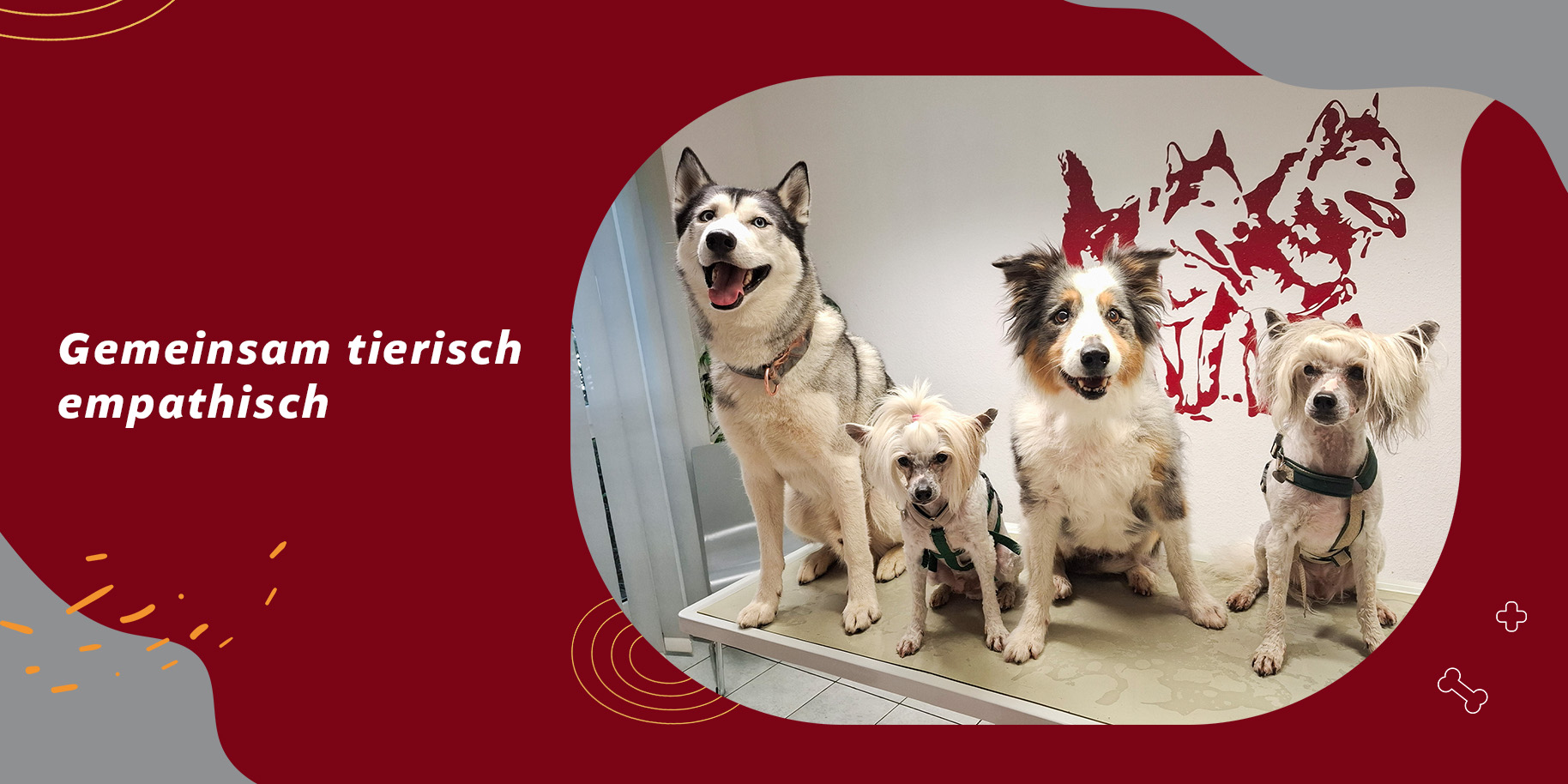 Teaserbild Tierärztliche Gemeinschaftspraxis Behrens & Rick