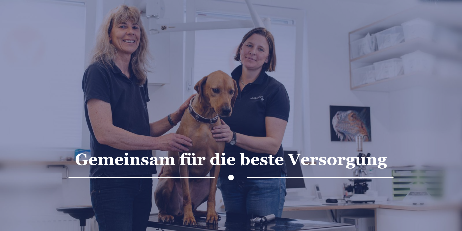 Teaserbild Tierärzte in Altona Dr. Rüschoff und Dr. Christian