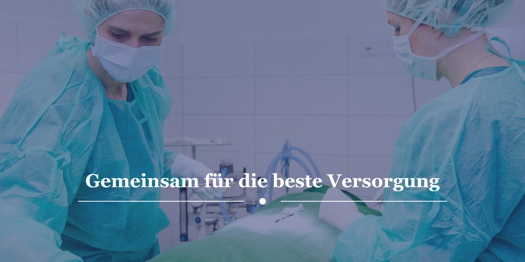 Teaserbild Kleintierpraxis Rheine