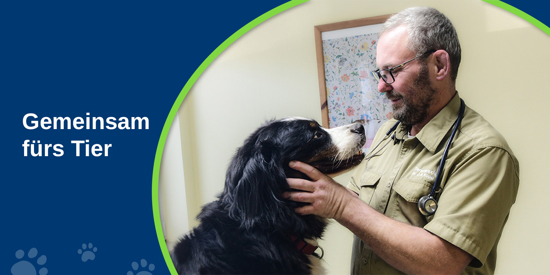 Teaserbild Tierarztpraxis Kopp