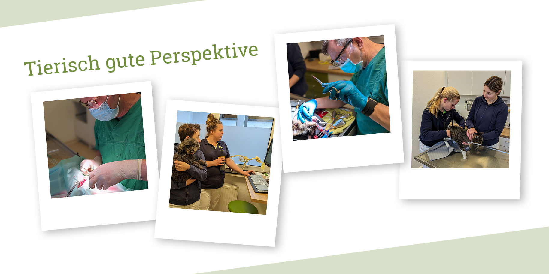 Teaserbild vetmed-Bonn GmbH