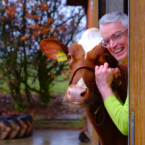  Franz Josef Zimmer - Kuhkraft – gute, gesunde Kühe