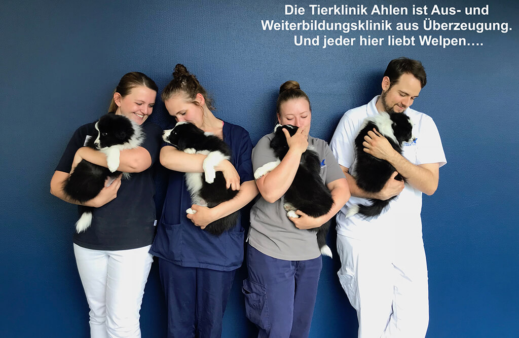 AniCura Ahlen - unsere Vision