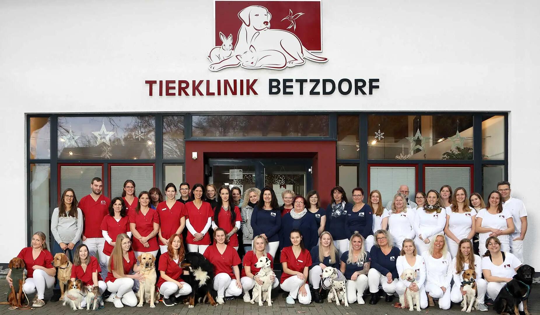 Teaserbild Tierklinik Betzdorf