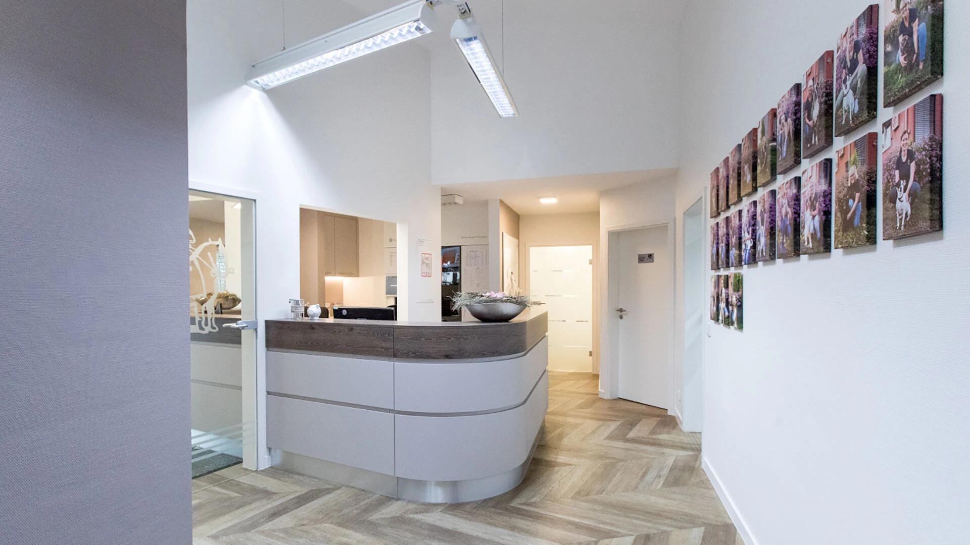 Tierarztpraxis Dr. Martin Haas - unsere Vision