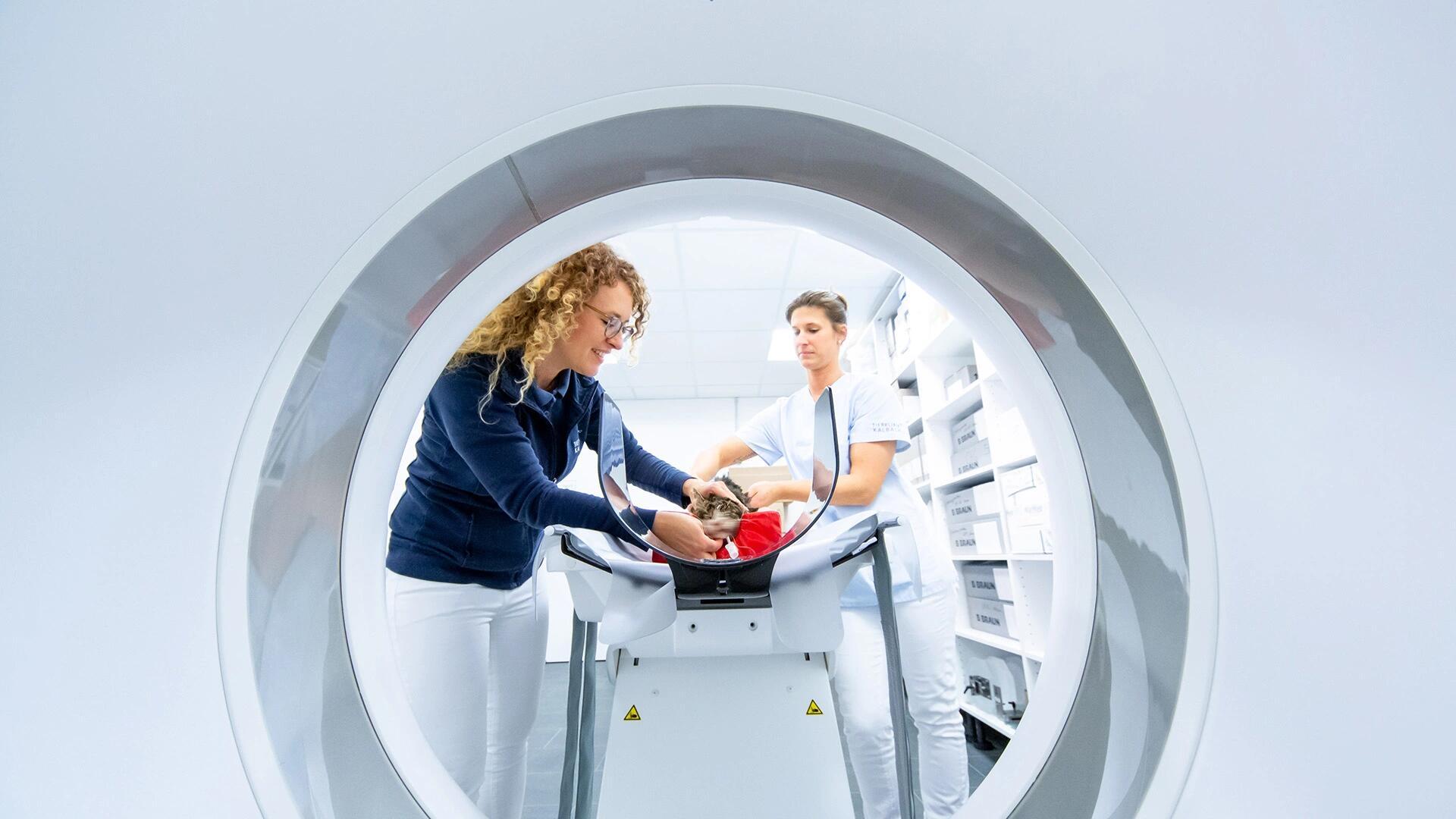 Kleintierklinik Kalbach - unsere Vision