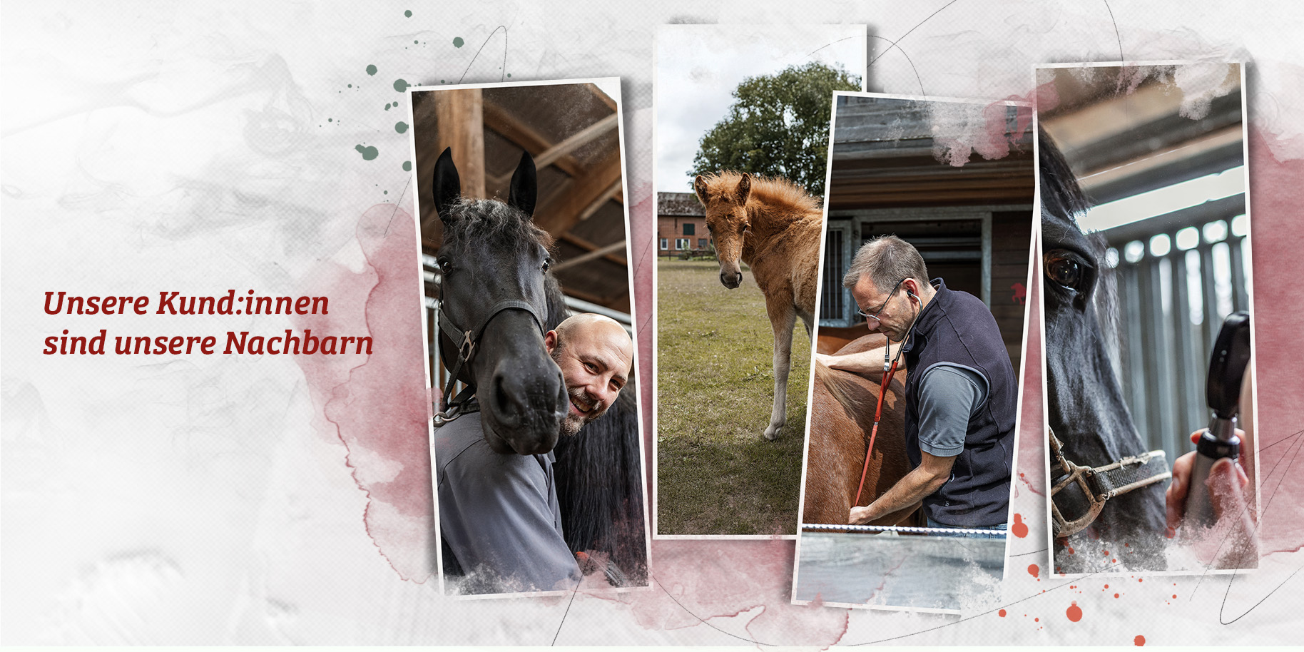 Teaserbild Tierarztpraxis Bartelsdorf