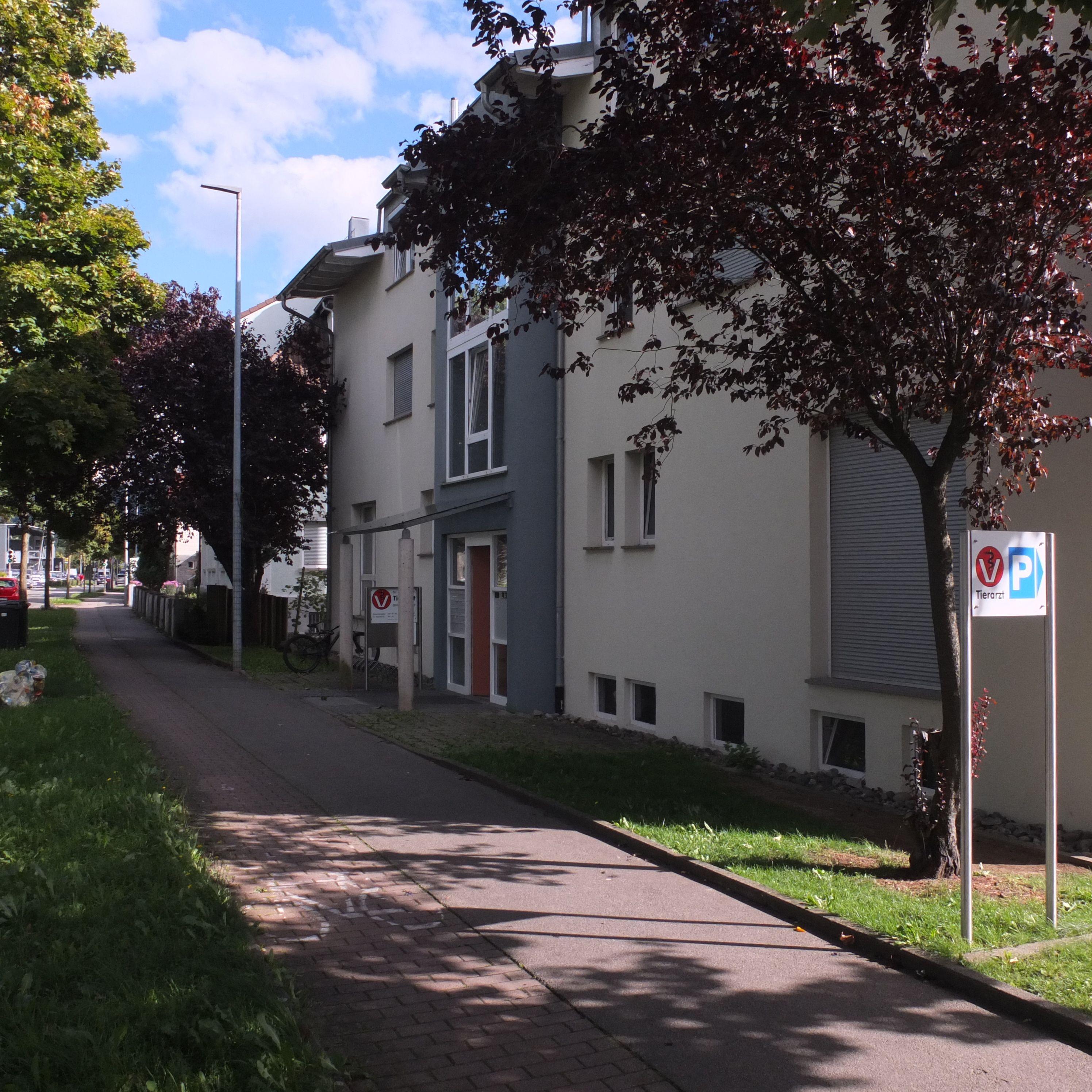 Kleintierpraxis Roth am Neckar - unsere Vision