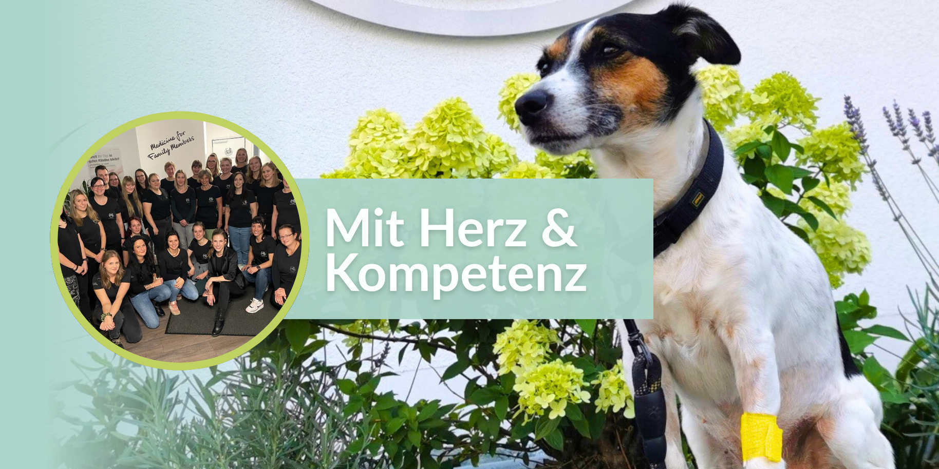 Teaserbild VET Chemnitz