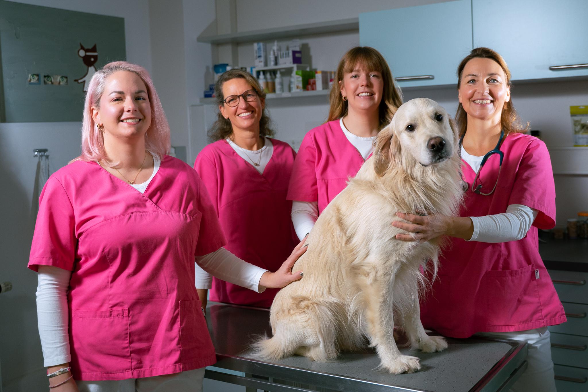 Tierarztpraxis Schalk - unsere Vision