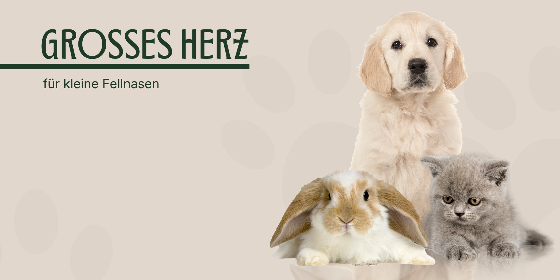 Teaserbild Kleintierärzte Waldbrunn