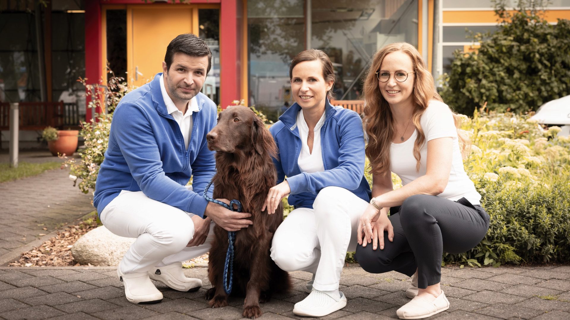 Teaserbild Klinik für Kleintiere Sottrum