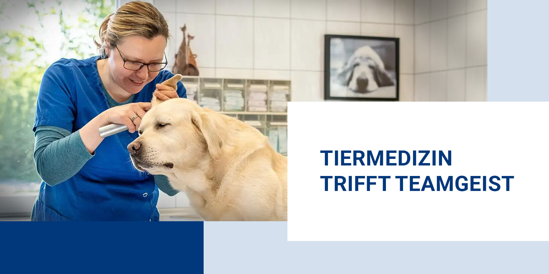 Teaserbild Tierarztpraxis BlueVet GmbH