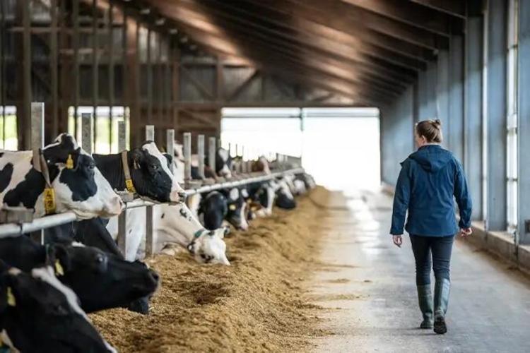 Tierarztpraxis BlueVet GmbH - unsere Vision