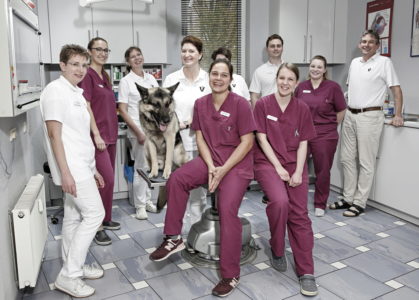 Jobs Fur Tierarzte Tfas M W D In Deiner Nahe