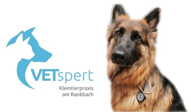 Jobs Fur Tierarzte Tfas M W D In Deiner Nahe