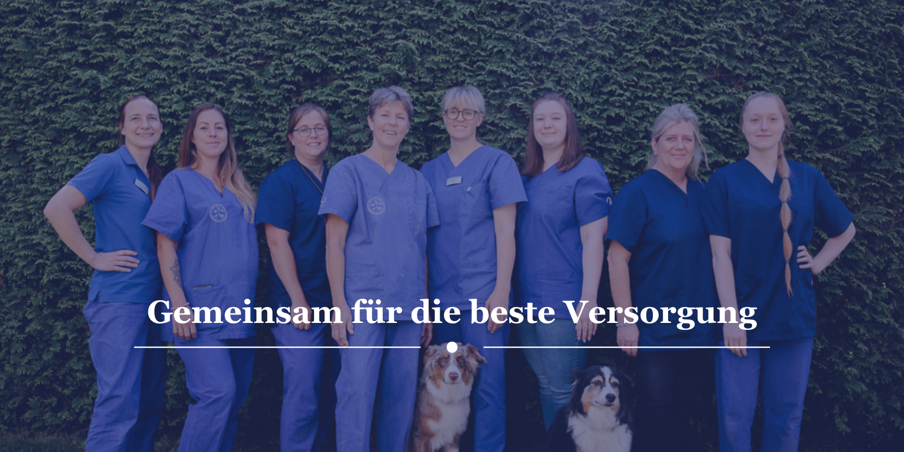 Teaserbild Kleintierpraxis Dr. Dörte Budde