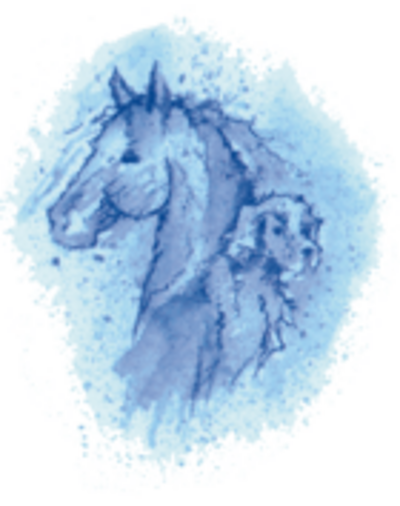 Dr. Gremmes Pferdeklinik und Tierarztpraxis - Logo